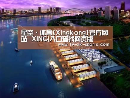 案例展示八
