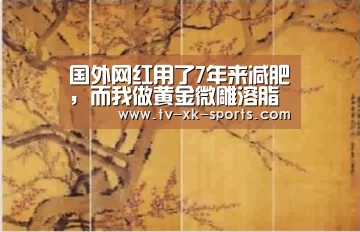 星空体育app