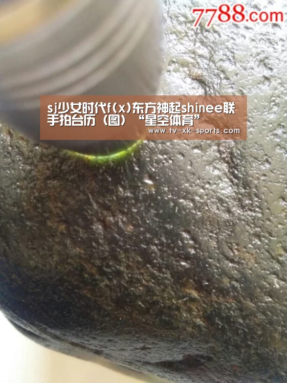 sj少女时代f(x)东方神起shinee联手拍台历(图)“星空体育”(图3) 星空体育app