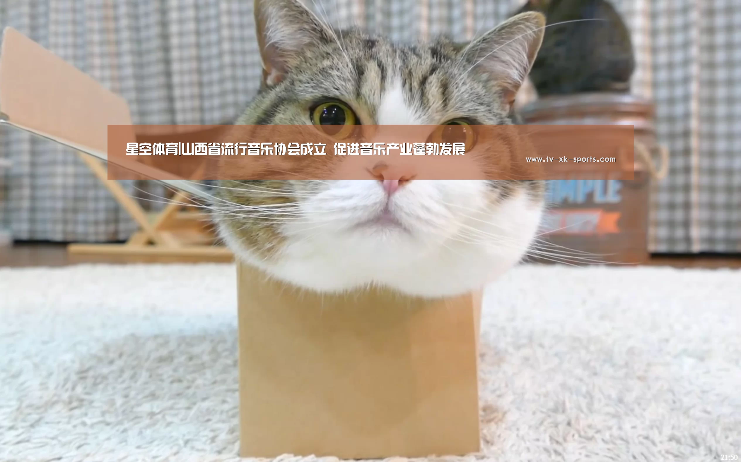星空体育