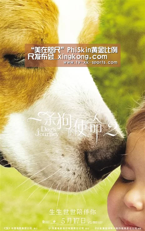 “美在咫尺”PhiSkin黄金比例尺发布会_xingkong.com(图2)
