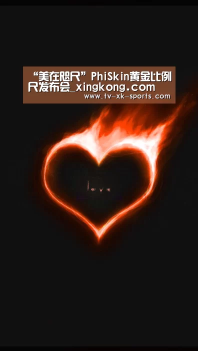星空体育app